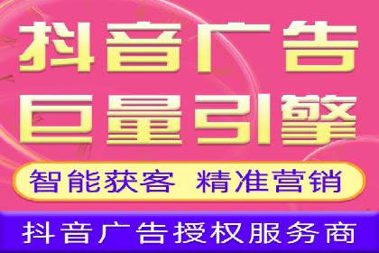 某行业领军企业的SEM广告投放策略